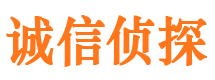 龙安市侦探调查公司